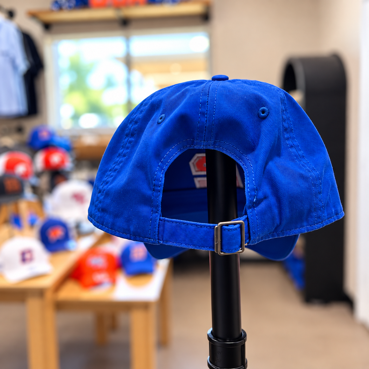 Blue Nike Cougar Hat